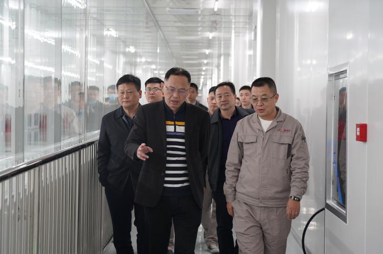 湖南省工信厅产业集聚推进处参观调研湖南鑫源链科技智能显示工厂